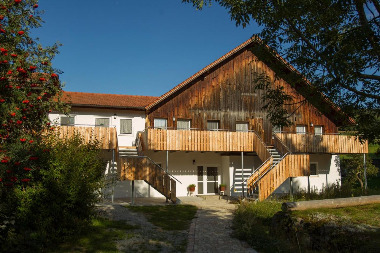 Naturlaub.Pur Appartement Waldmünchen Buitenkant foto